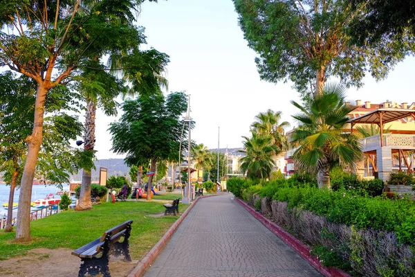 Vista del hermoso parque con palmeras tropicales en el resort — Foto de Stock