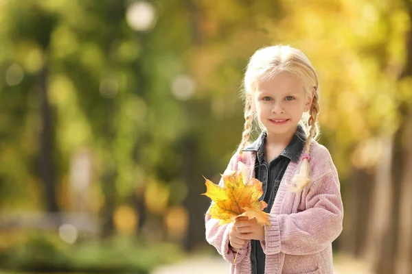 Το χαριτωμένο μικρό κορίτσι με τα κίτρινα φύλλα στο πάρκο — Φωτογραφία Αρχείου