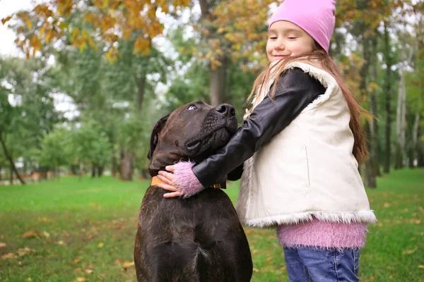 Gadis kecil yang lucu dengan anjingnya di taman musim gugur — Stok Foto