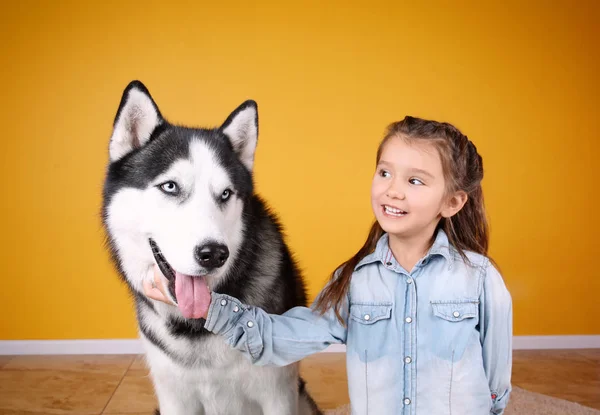 Nettes kleines Mädchen mit Husky-Hund zu Hause — Stockfoto