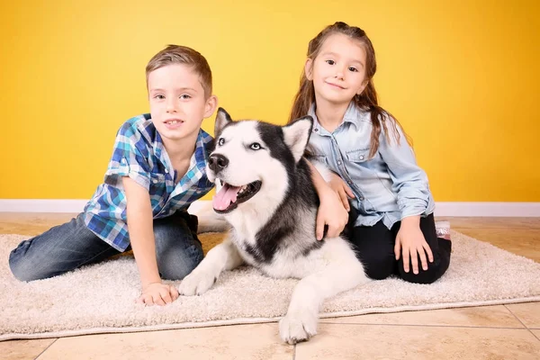 Cute little children with Husky dog at home — Stock Photo, Image