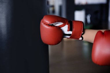 Boxer punchbag içinde jimnastik salonu ile eğitim
