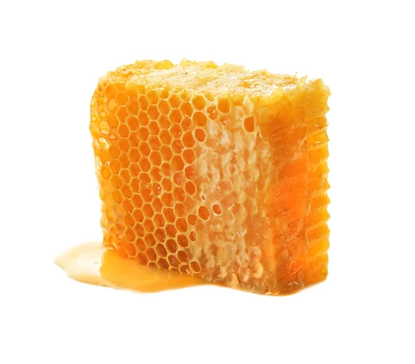 Fresh Honeycomb White Background — Stock Photo, Image