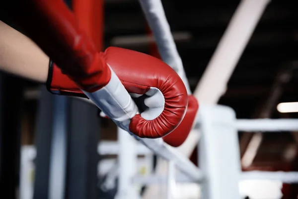 Boxer Hält Hände Handschuhen Seil Des Boxrings — Stockfoto