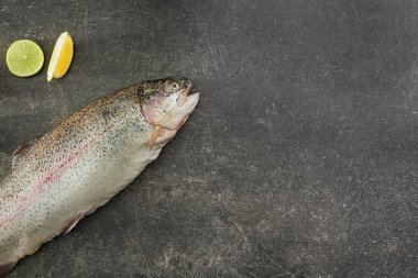 Gri arka plan, üstten görünüm üzerinde ham Gökkuşağı alabalığı