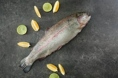 Ham Gökkuşağı alabalığı, limon ve kireç gri arka planda, üstten görünüm kompozisyon