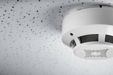 Açık renkli duman dedektörü