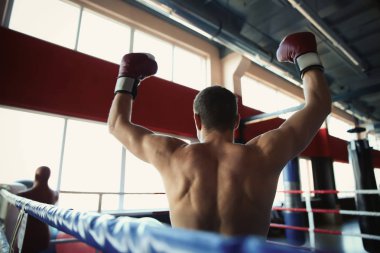 Genç adam boks ring, portre 