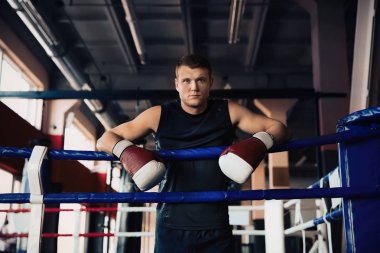 Genç adam boks ring, portre