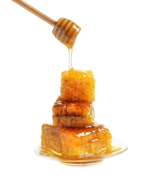 Honing Gieten Van Houten Beer Verse Honingraten Witte Achtergrond — Stockfoto