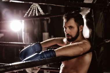 Profesyonel boksör molası