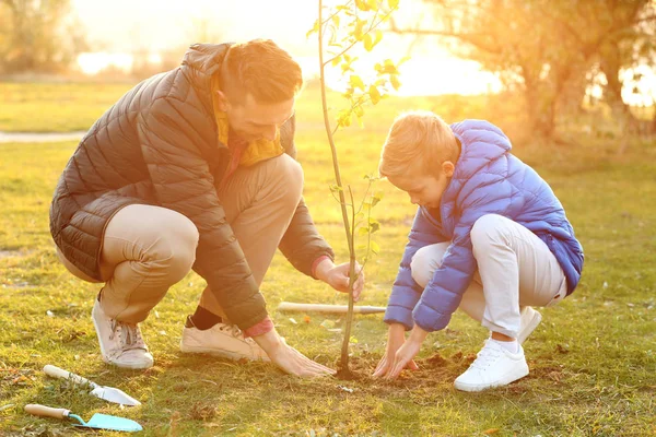 Vader Met Zoontje Buitenshuis Planten Van Boom — Stockfoto