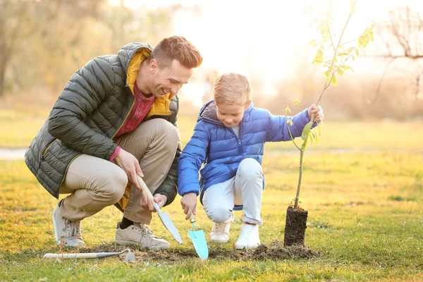 Ayah Dengan Anak Kecil Menanam Pohon Luar Ruangan — Stok Foto