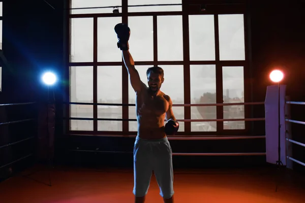 Mladí profesionální boxer vyhrál — Stock fotografie