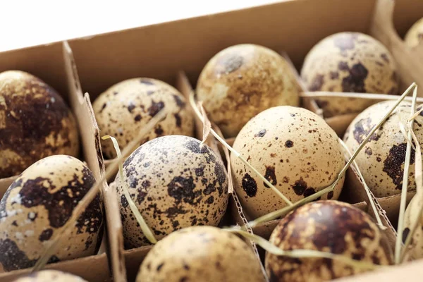 Quail eggs in package, closeup