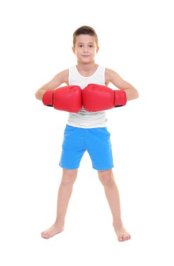 Cute little boy in boxing gloves on white background clipart