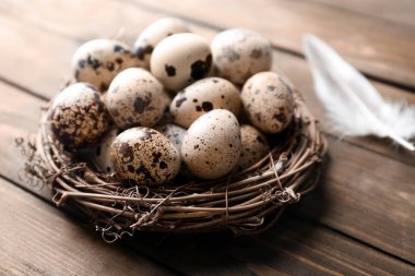 Kuş yuvası ve ahşap masa üzerinde tüy bıldırcın yumurtası
