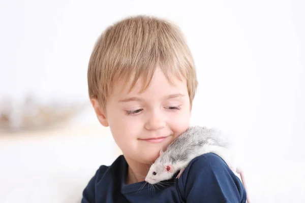 Liten Pojke Med Söt Sällskapsdjur Råtta Soffa Inomhus — Stockfoto