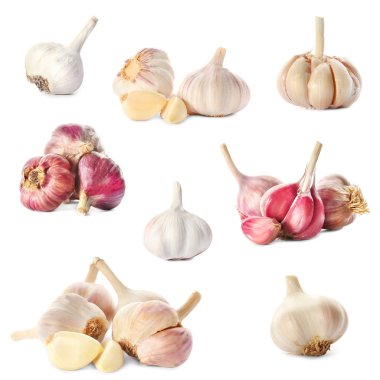 Beyaz arka plan üzerinde ham taze sarımsak ile ayarla