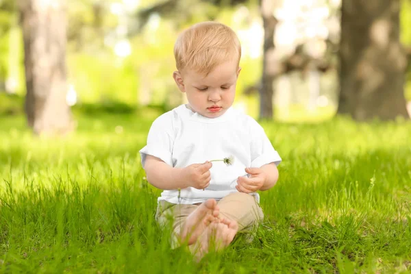 晴れた日に緑豊かな公園でタンポポと男のかわいい赤ちゃん — ストック写真