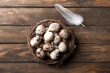Kuş yuvası ve ahşap masa üzerinde tüy bıldırcın yumurtası