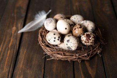 Kuş yuvası ve ahşap masa üzerinde tüy bıldırcın yumurtası