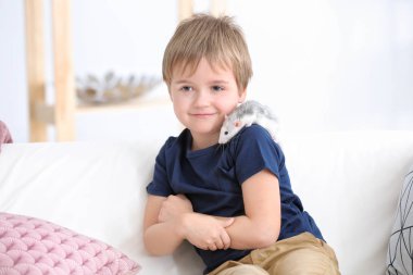 Şirin evde beslenen hayvan iri fare kanepe kapalı olan küçük çocuk