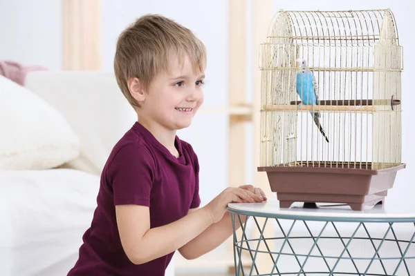 Kleiner Junge Mit Entzückendem Papagei Käfig — Stockfoto