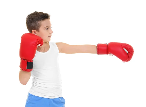 Menino Bonito Luvas Boxe Fundo Branco — Fotografia de Stock