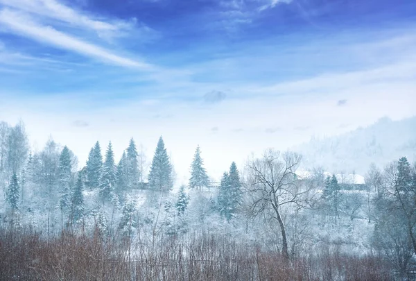 Gyönyörű téli táj — Stock Fotó