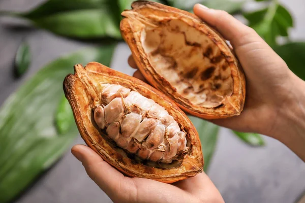 Tutan Kadın Kakao Pod Üzerinde Arka Plan Bulanık Closeup Kesmek — Stok fotoğraf