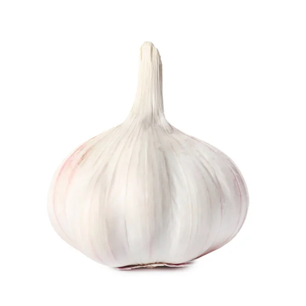Fresh Garlic Head White Background — Stock Photo, Image