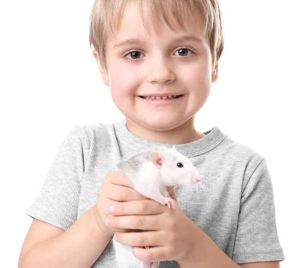 Liten Pojke Med Söt Sällskapsdjur Råtta Vit Bakgrund — Stockfoto