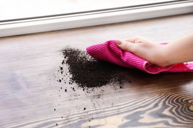 Pencere pervazına bez ile temizlik kadın