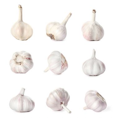 Beyaz arka plan üzerinde ham taze sarımsak ile ayarla