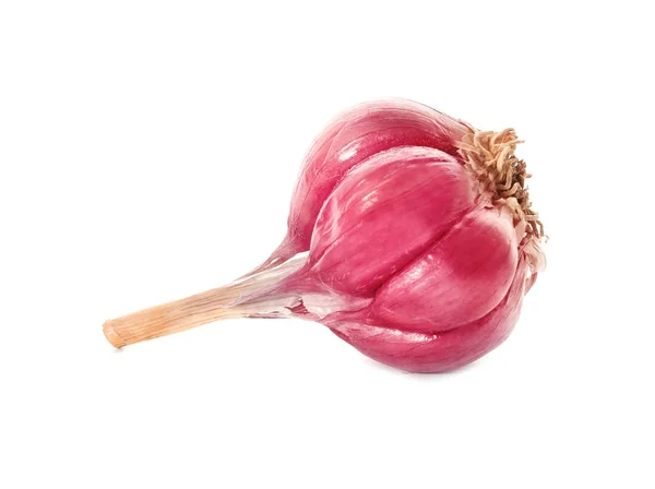 Fresh garlic head — Stock Photo, Image