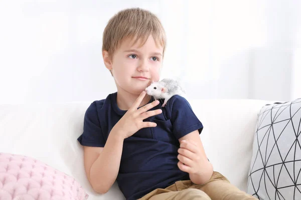 Kleiner Junge Mit Süßer Haustierratte Auf Sofa Drinnen — Stockfoto