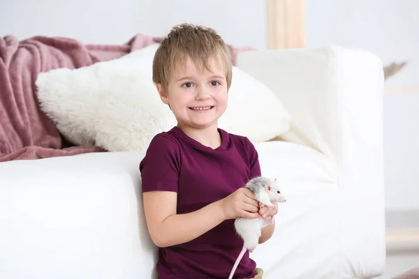 Jongetje Met Schattig Huisdier Rat Sofa Binnenshuis — Stockfoto