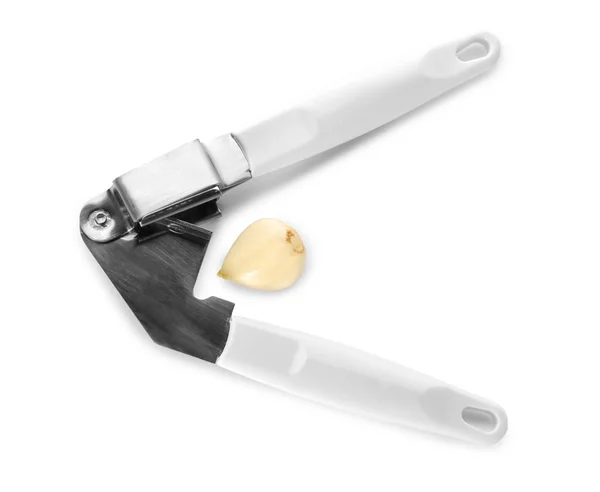 Garlic press and clove — Stock Photo, Image