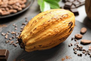 Olgun sarı kakao pod masada, closeup ile kayrak plaka
