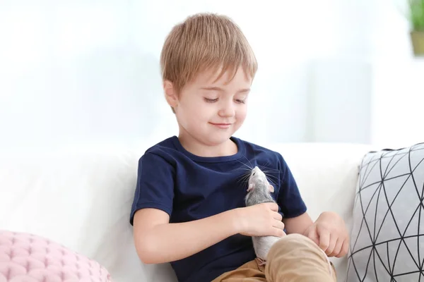 Kleiner Junge Mit Süßer Haustierratte Auf Sofa Drinnen — Stockfoto