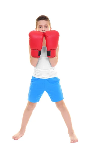 Menino Bonito Luvas Boxe Fundo Branco — Fotografia de Stock