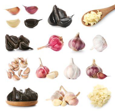 Beyaz sarımsak topluluğu  