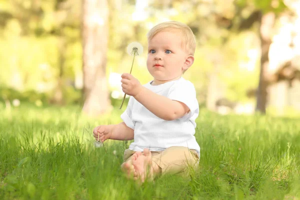 Bayi Laki Laki Lucu Dengan Dandelion Taman Hijau Pada Hari — Stok Foto