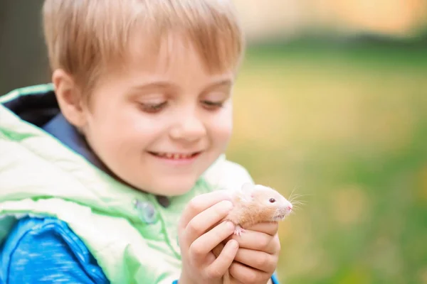 Little Boy Cute Pet Hamster Park — Stock Photo, Image