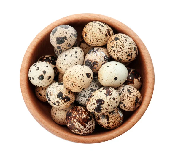 Quail eggs in bowl — Stock Photo, Image