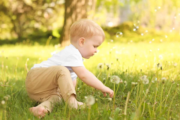 Cute Baby Boy Green Park Sunny Day — Stock Photo, Image