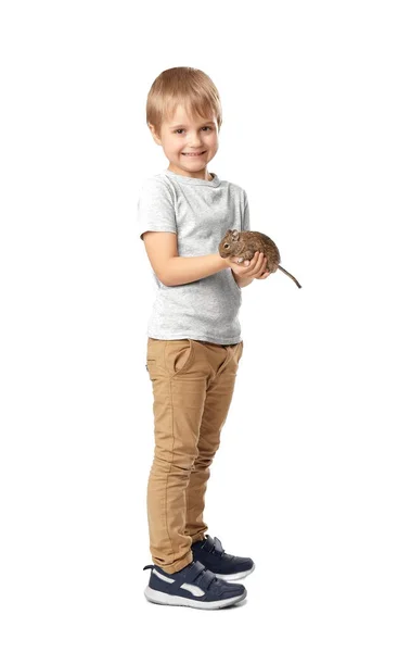 Kleiner Junge Mit Niedlichem Haustier Degu Auf Weißem Hintergrund — Stockfoto