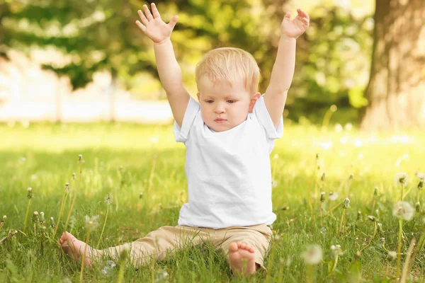 Cute Baby Boy Sitting Green Grass Park — Stock Photo, Image