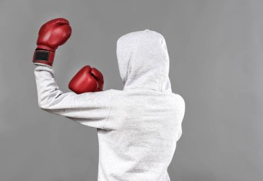 Kapşonlu gri arka plan üzerinde poz boksör